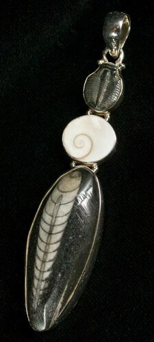 Fossil Orthoceras & Trilobite Pendant - Sterling Silver #5574